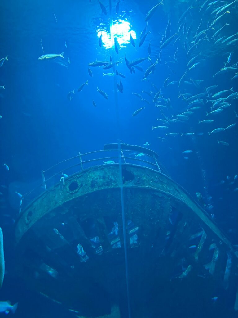 DigiTechPort2030 Interreg South Baltic 2024